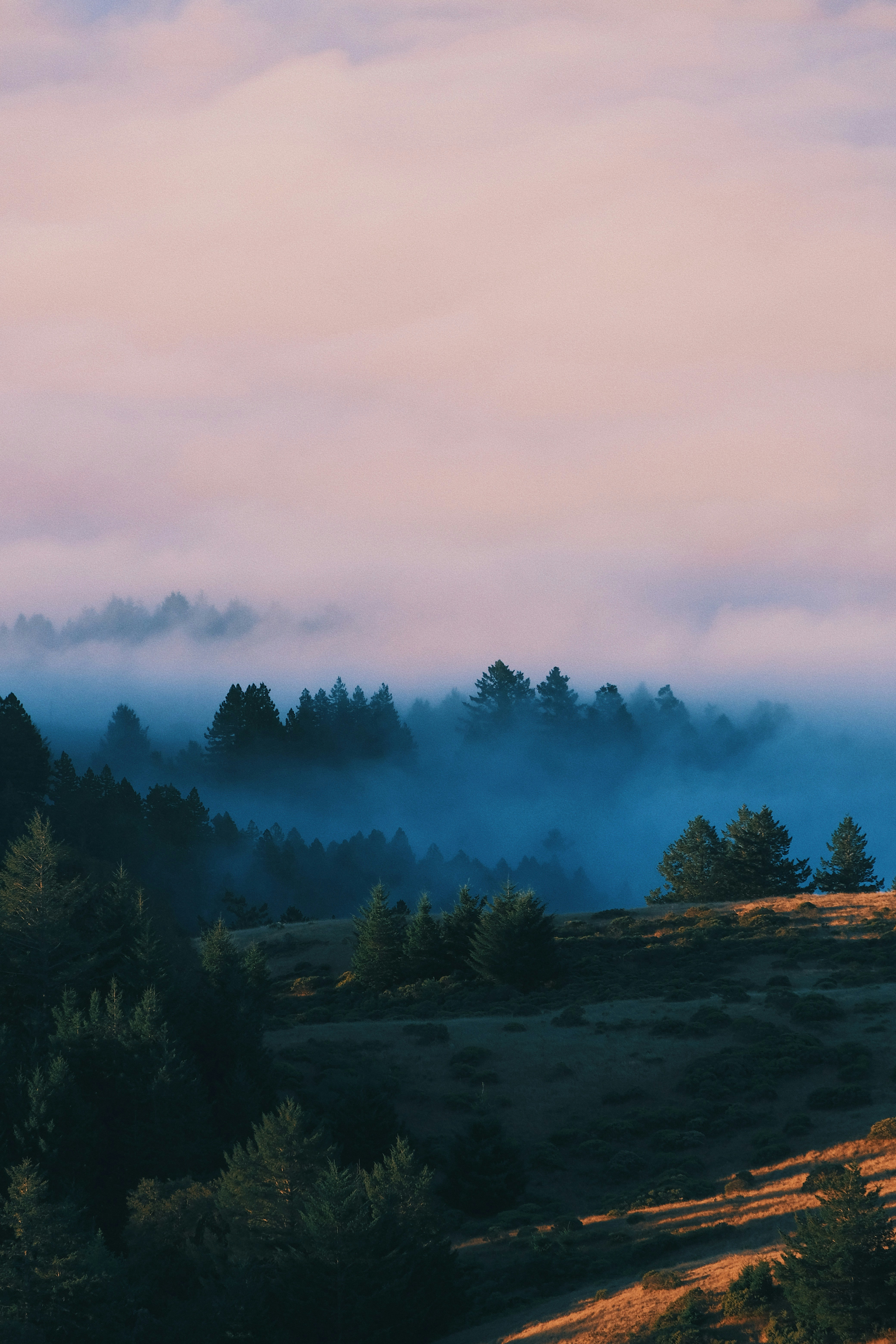 Photo by justzht