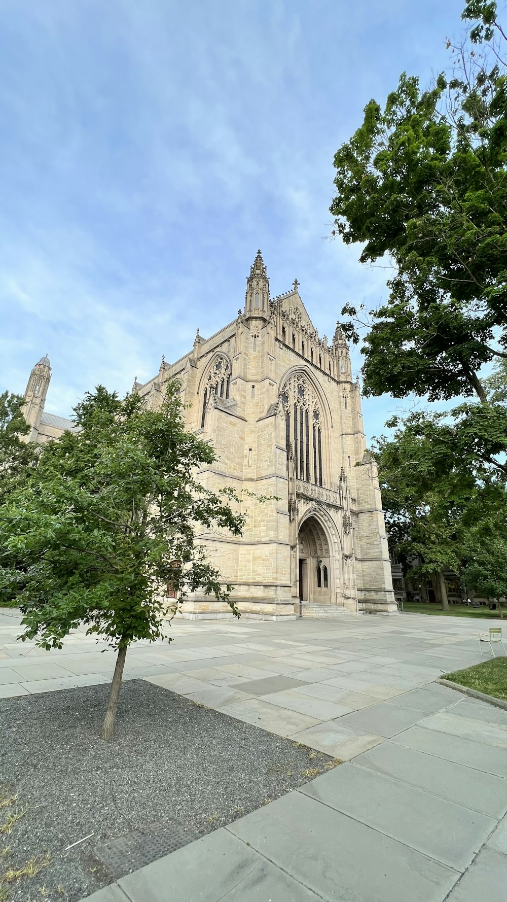 a large building with a tree in front of it