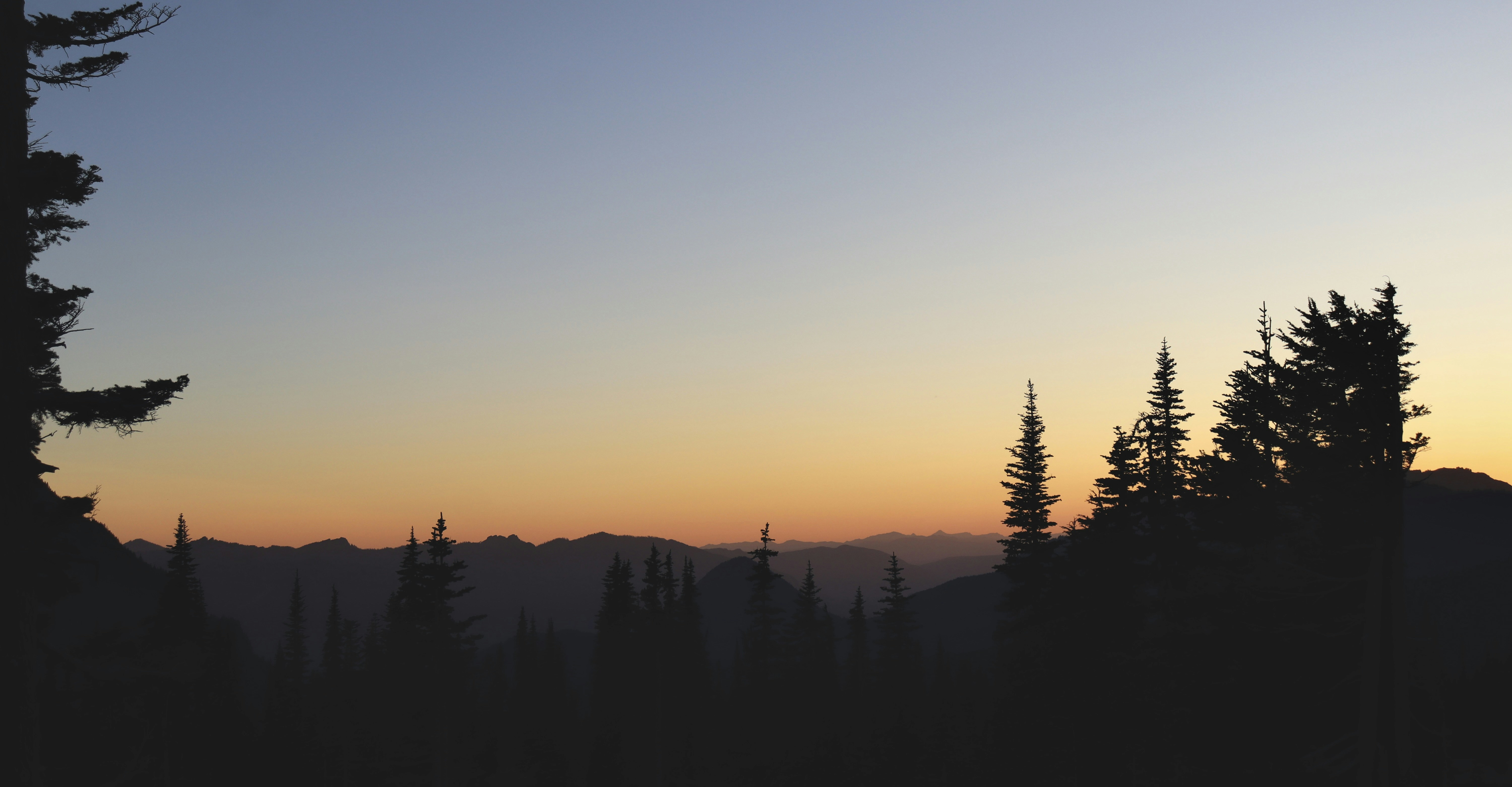 Photo by josh3rsmith