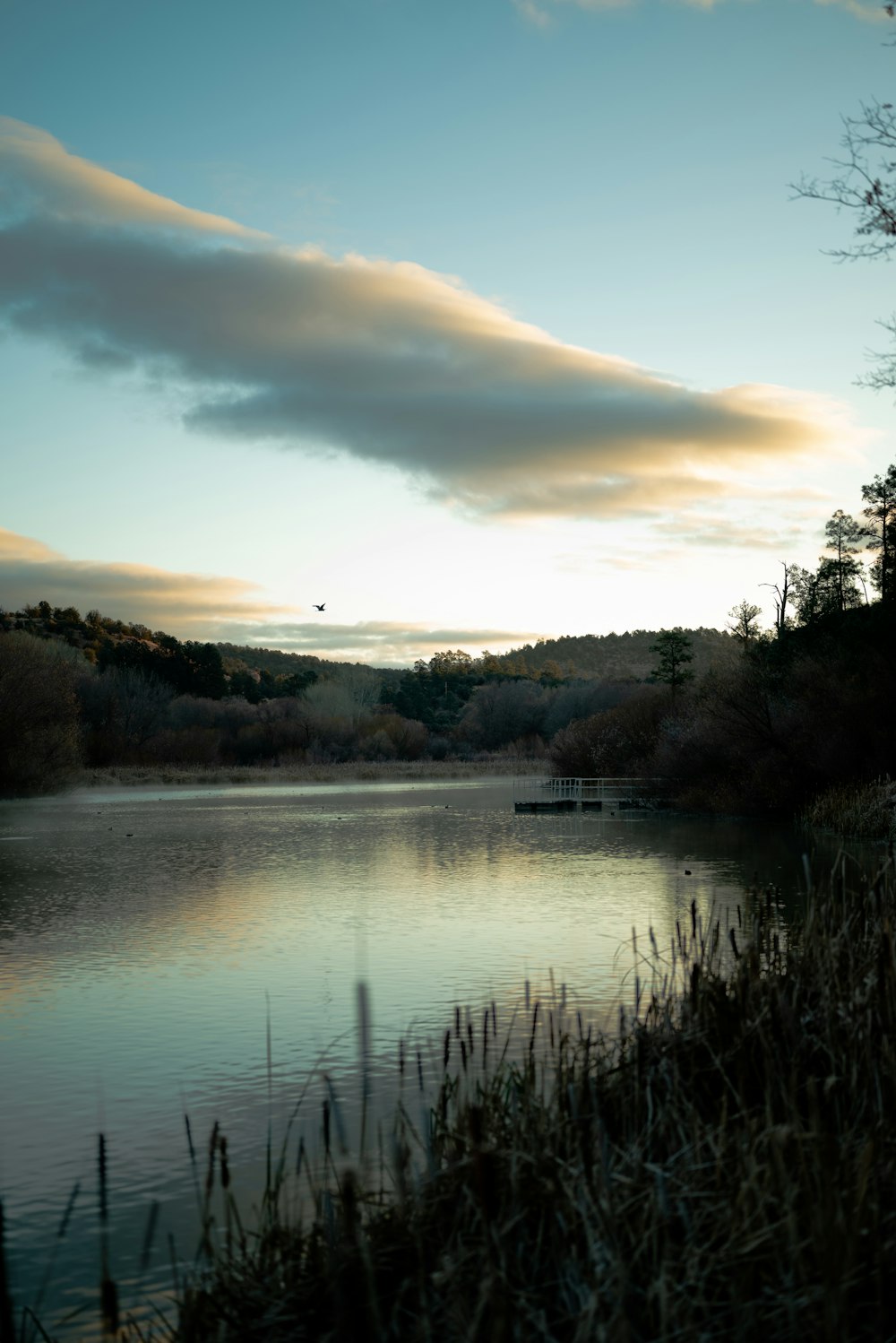 a body of water surrounded by a forest