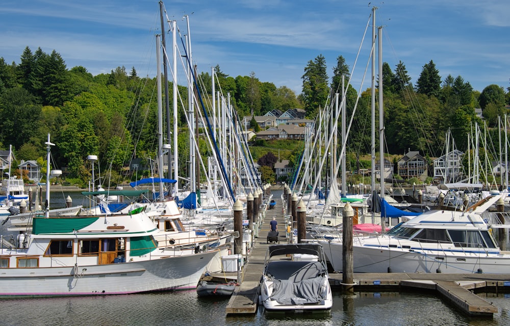 a group of boats are docked at a dock