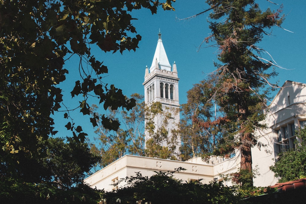 a tall white building with a steeple surrounded by trees