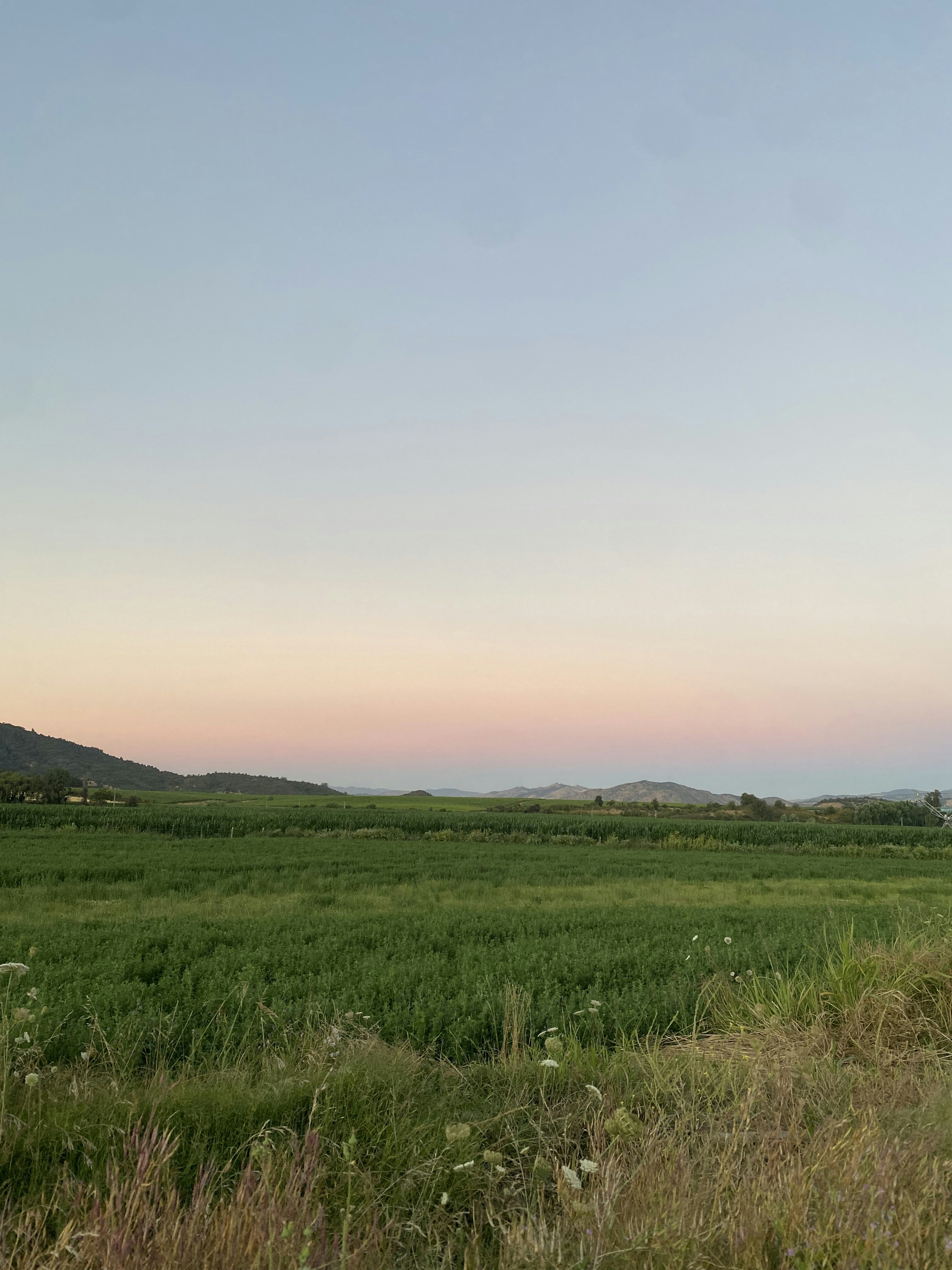 Photo by claaudiotapiaa