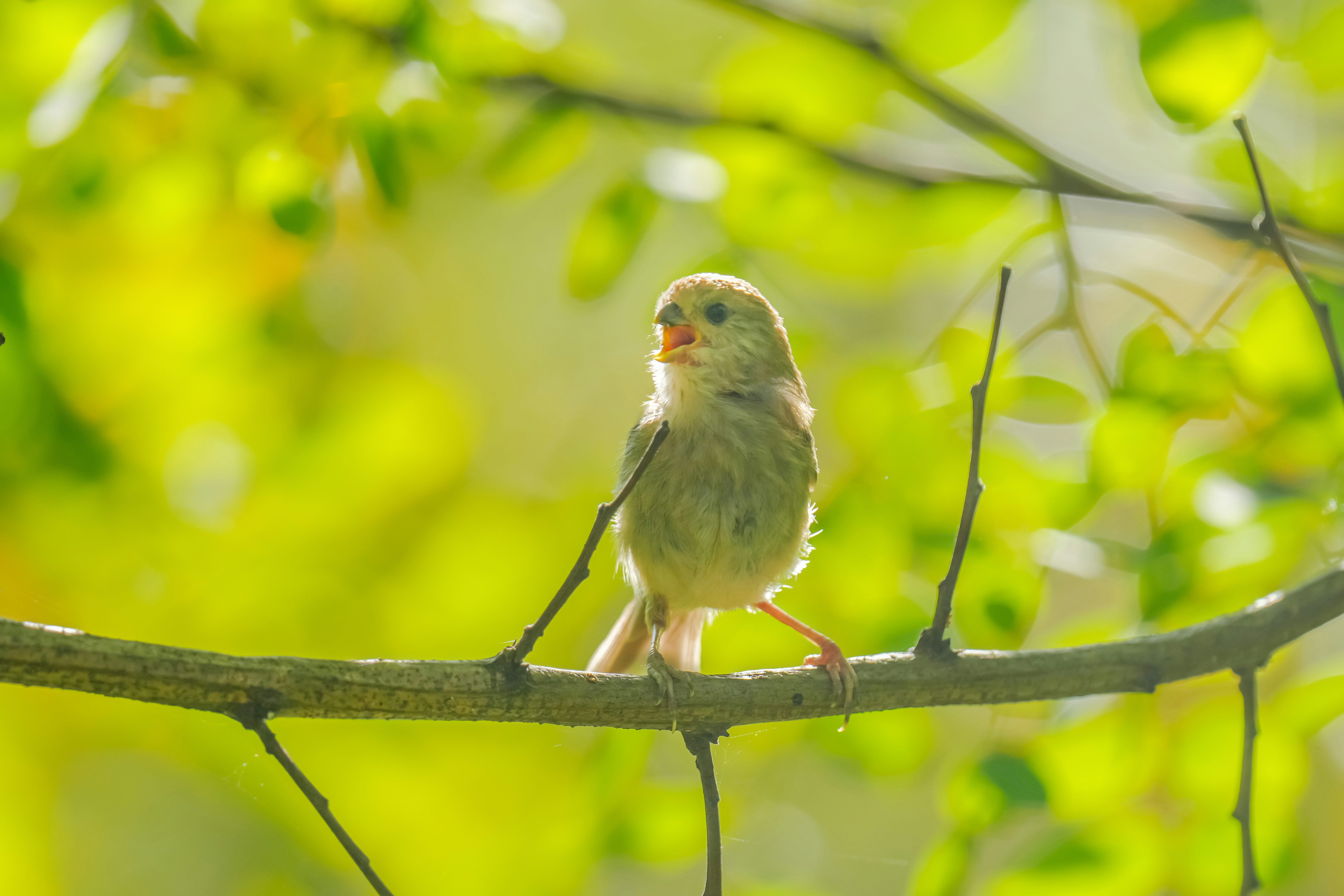 Photo by kim_dae_jeung