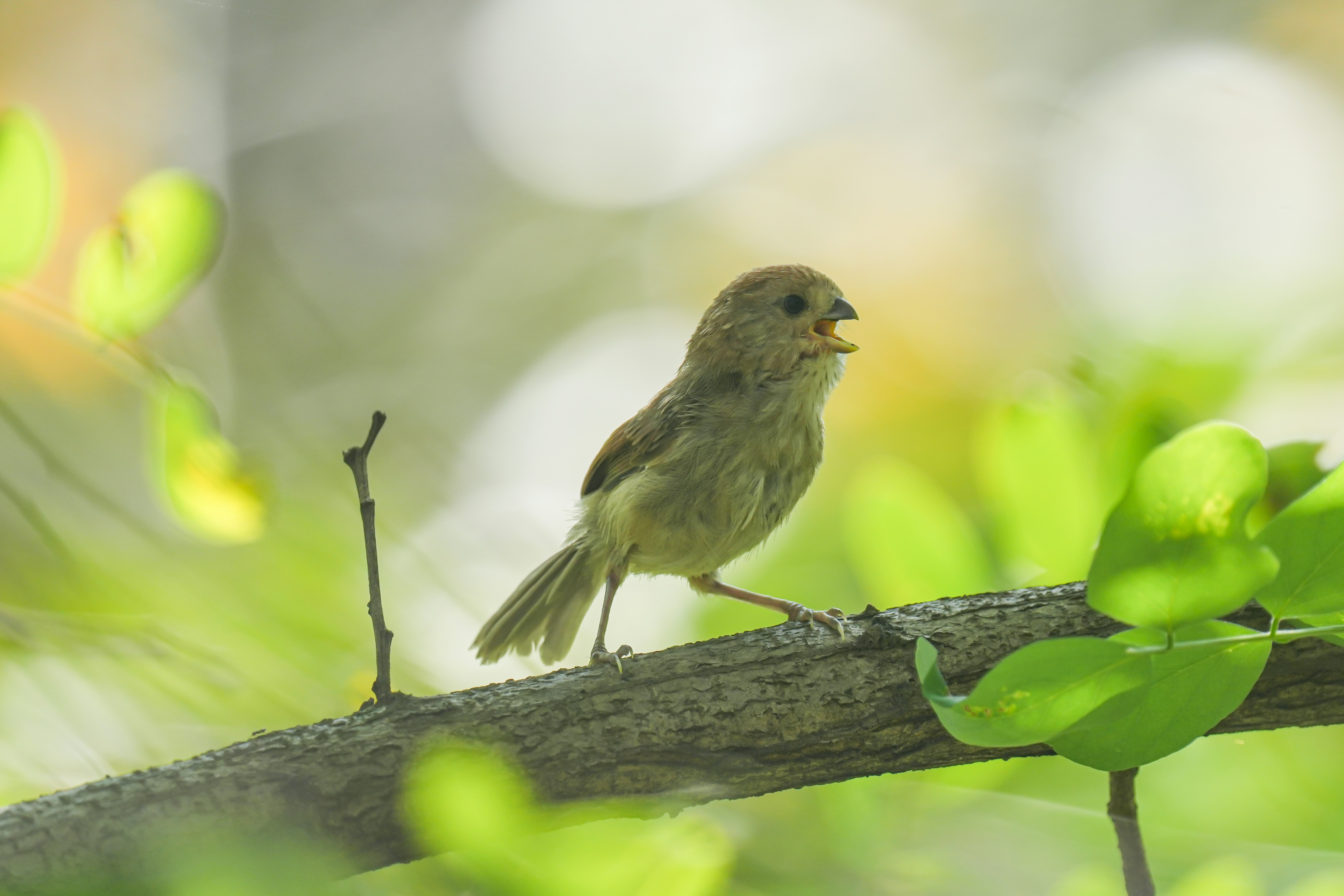 Photo by kim_dae_jeung