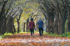 a couple of people walking down a leaf covered road