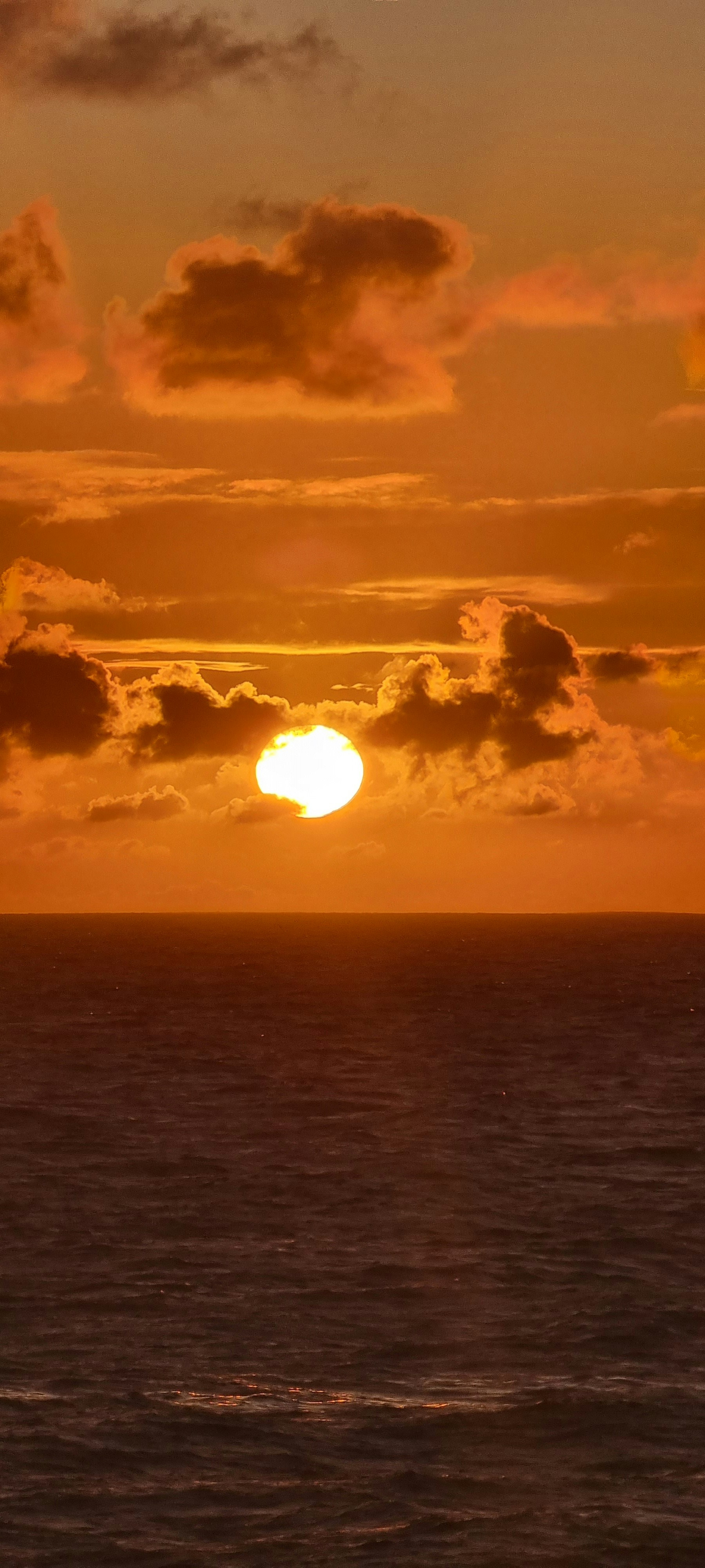 Photo by gabrielmxavier