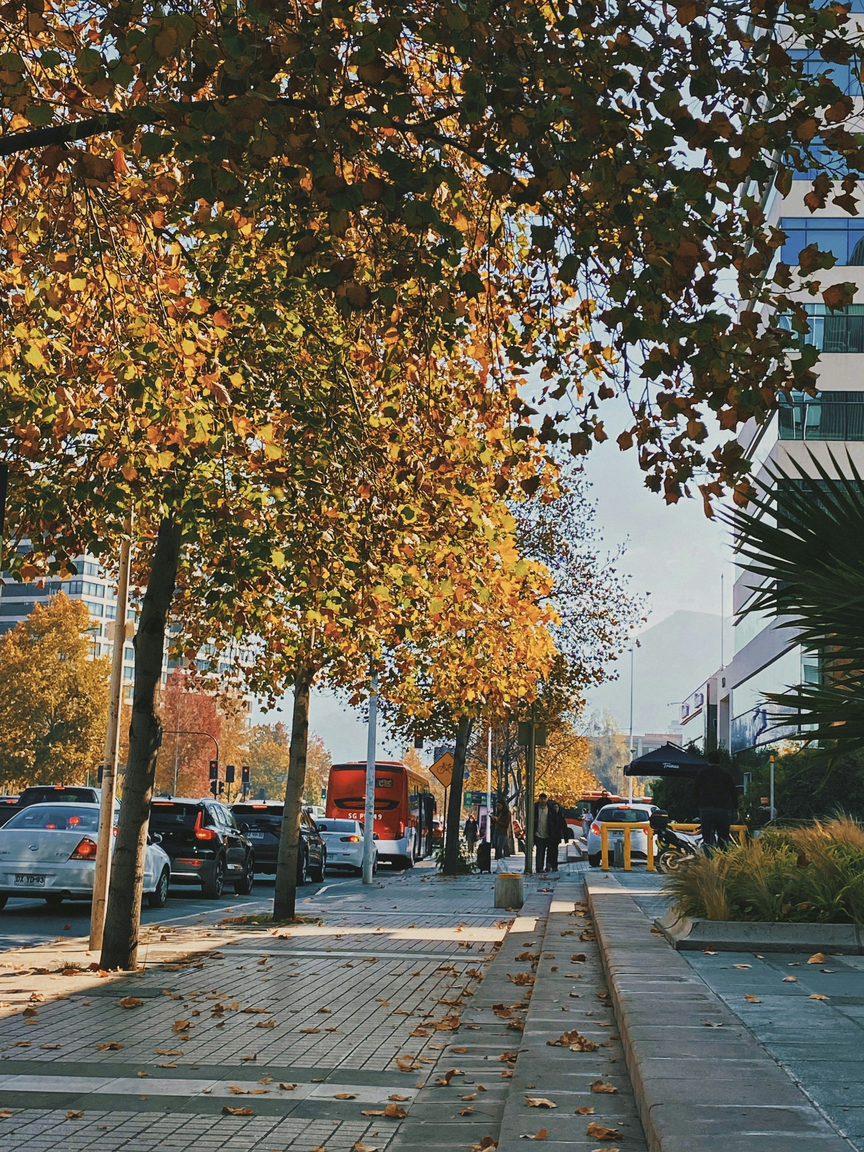 Photo by dominique_sieb