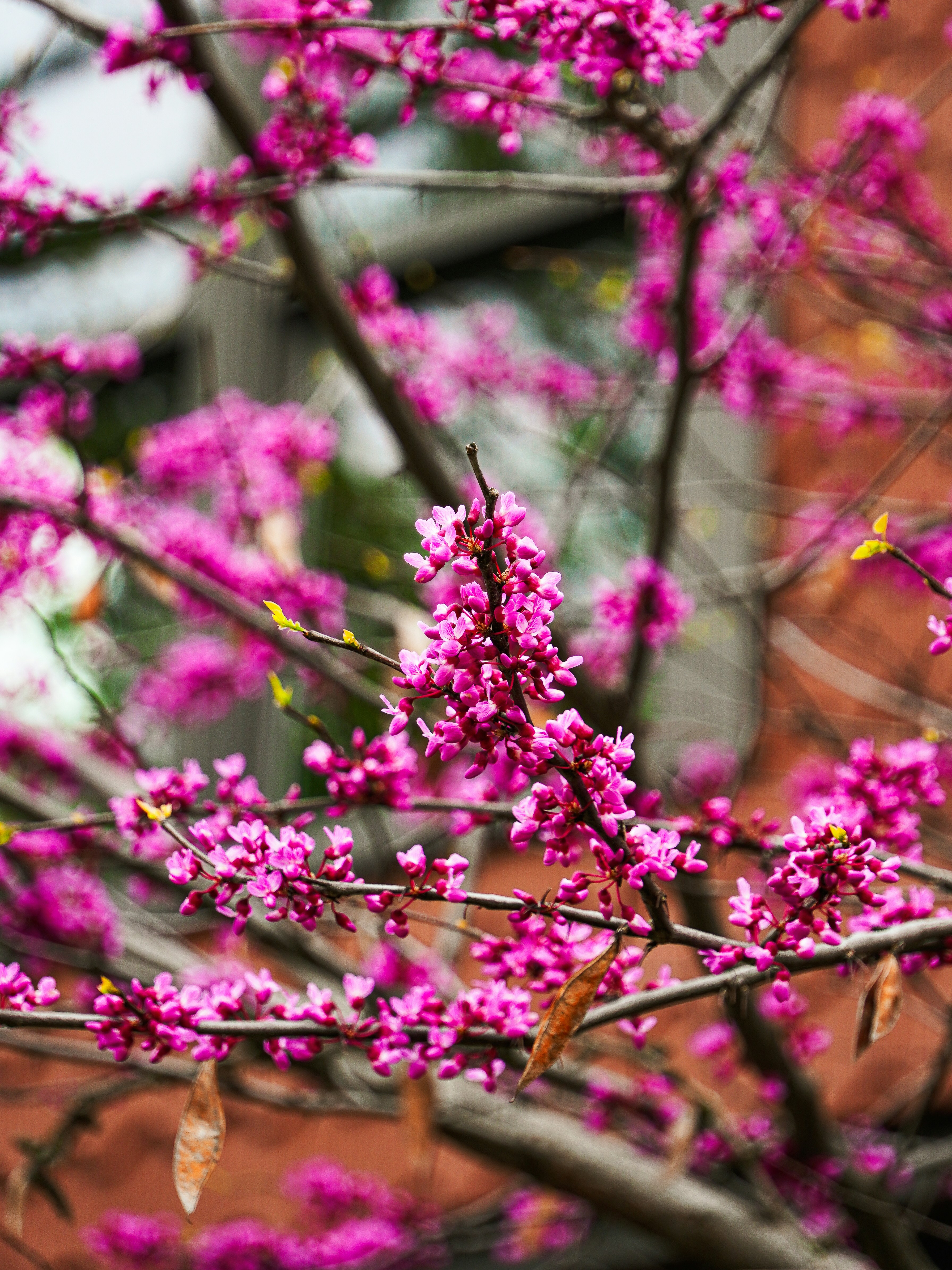 Photo by whereiskylenow