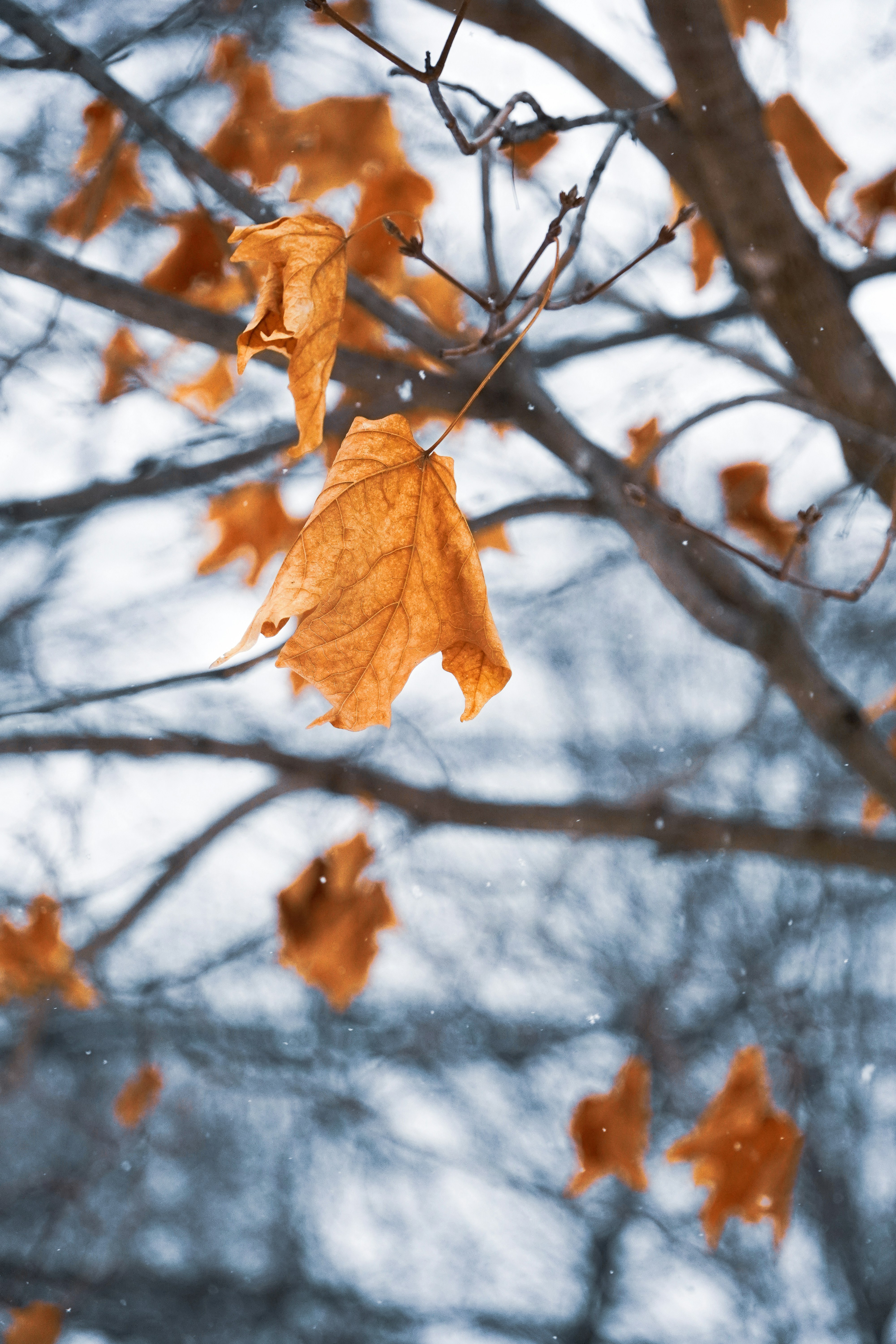 Photo by whereiskylenow