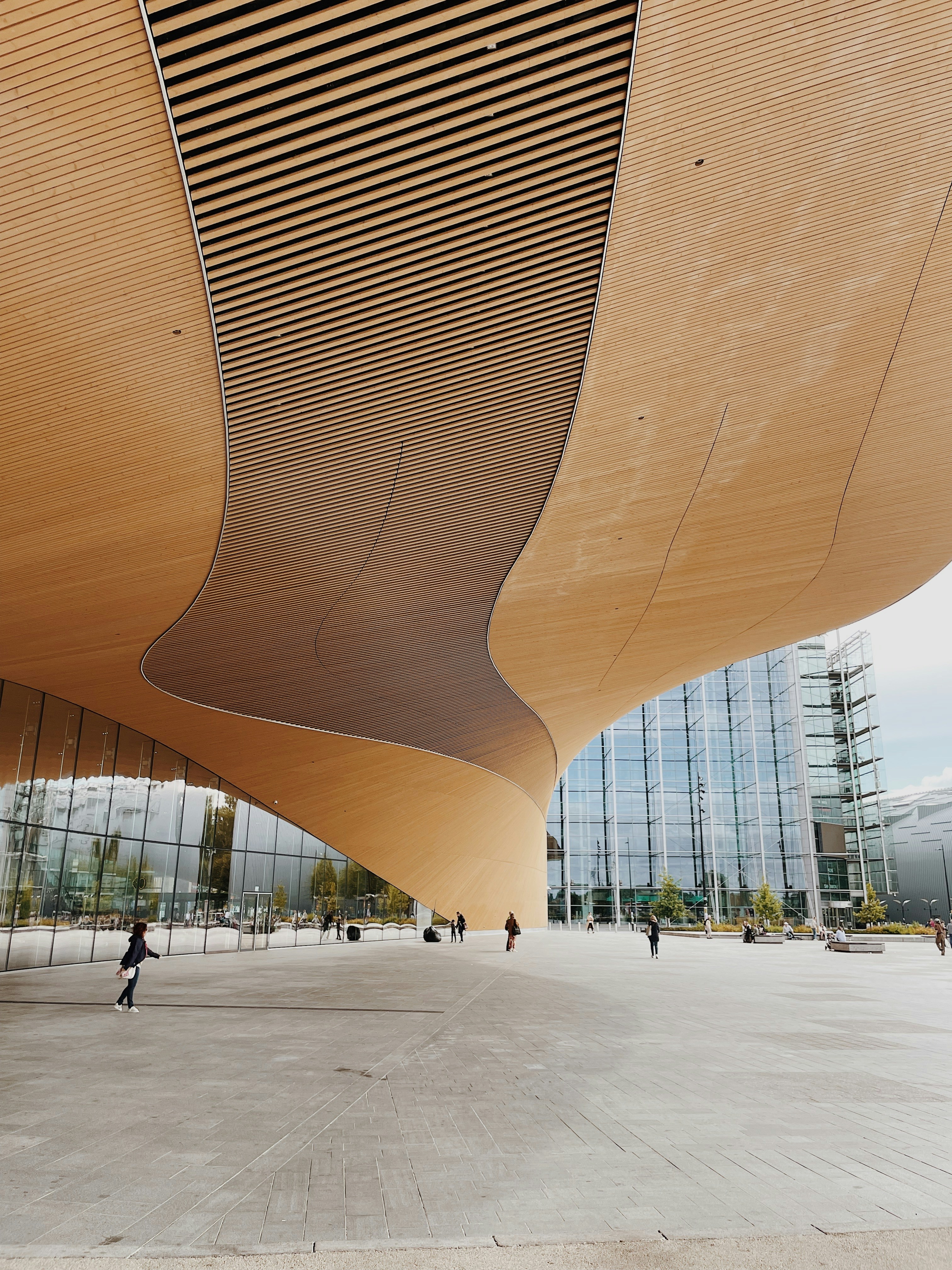 Photo by nshuman1291