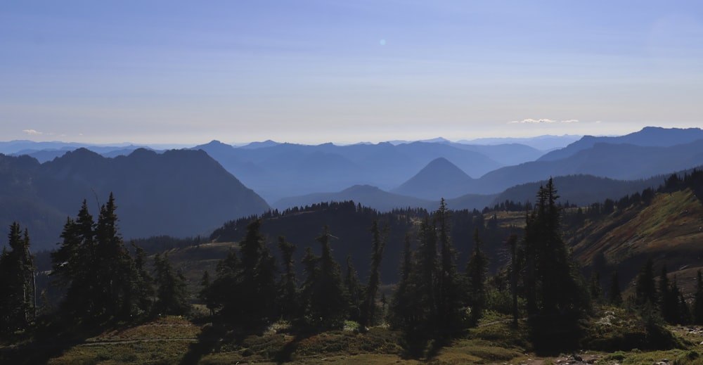 a view of a mountain range with trees in the foreground