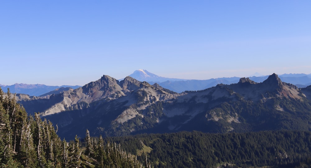 a view of a mountain range with trees in the foreground