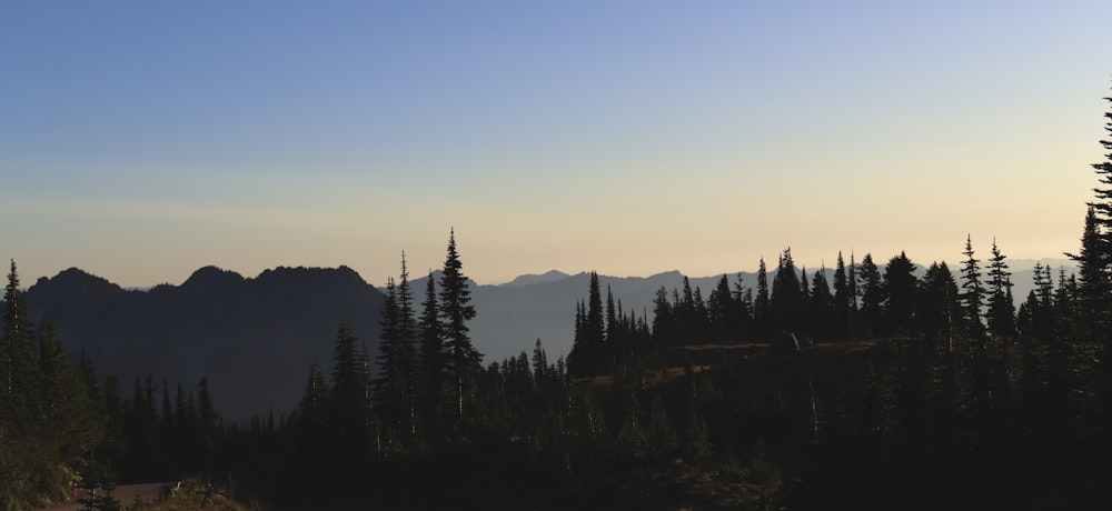 Blick auf eine Bergkette mit Bäumen im Vordergrund