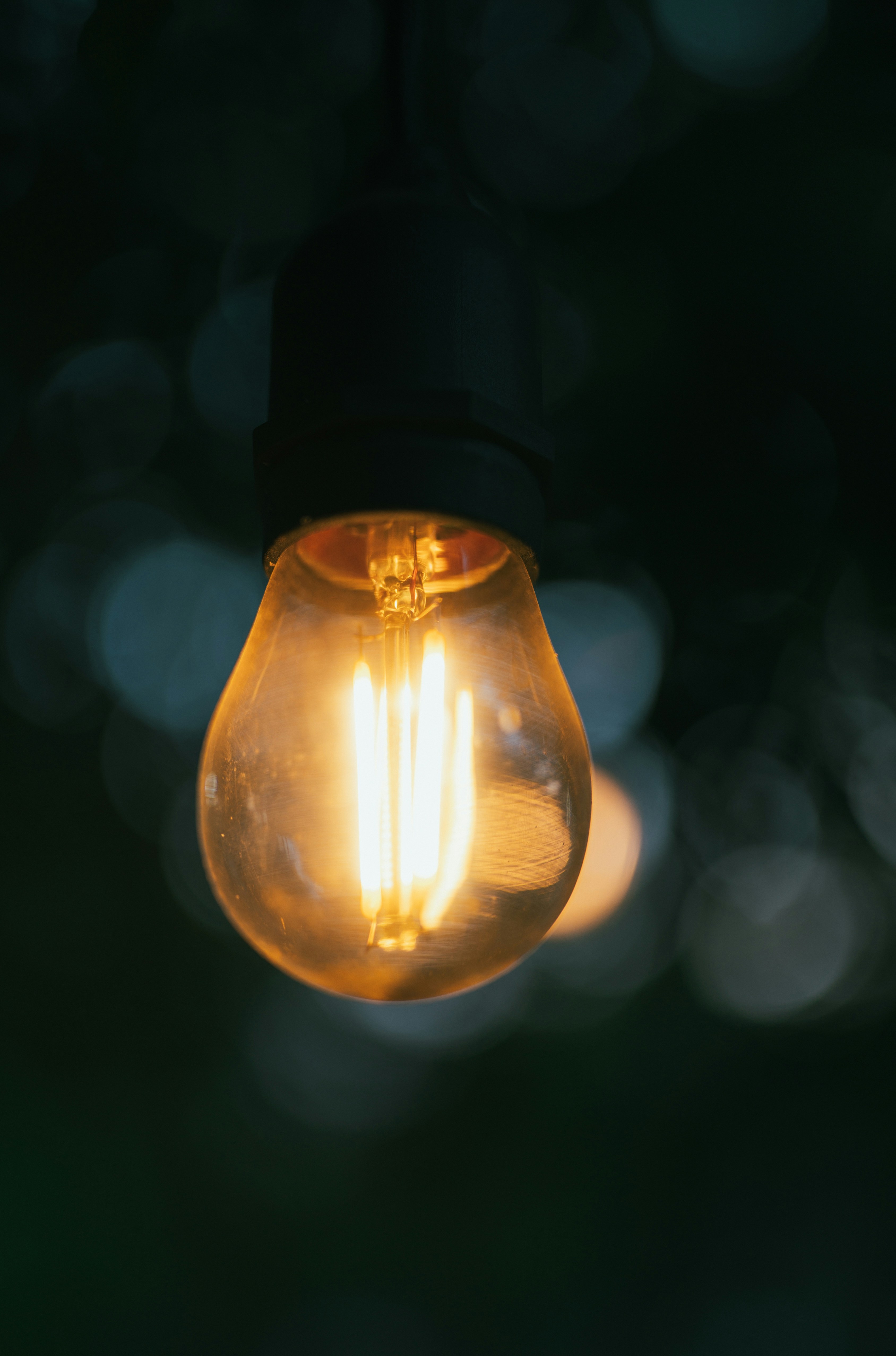 Photo by timotiusandy31