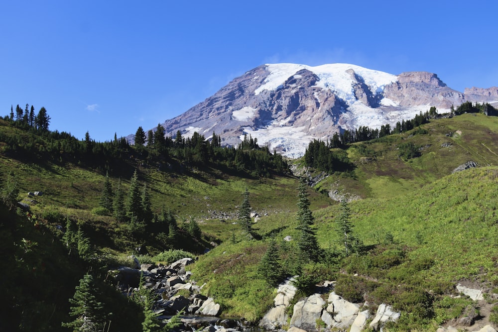 a mountain with a snow capped peak in the distance