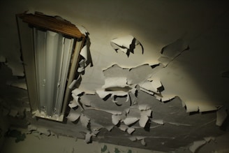 Old, decrepit ceiling with peeling paint, accompanied by a fluorescent light fixture with exposed tubes, conveying a sense of abandonment.