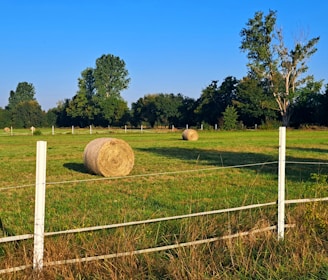 a field with hay bales in the middle of it