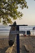 A surfboard with a 'Board Rental' sign is positioned upright on a sandy beach. In the background, people can be seen enjoying the waves, and a tree with green leaves provides partial shade. There's also a chair and some beach objects scattered around.