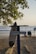 A surfboard with a 'Board Rental' sign is positioned upright on a sandy beach. In the background, people can be seen enjoying the waves, and a tree with green leaves provides partial shade. There's also a chair and some beach objects scattered around.