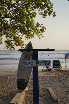 A surfboard with a 'Board Rental' sign is positioned upright on a sandy beach. In the background, people can be seen enjoying the waves, and a tree with green leaves provides partial shade. There's also a chair and some beach objects scattered around.