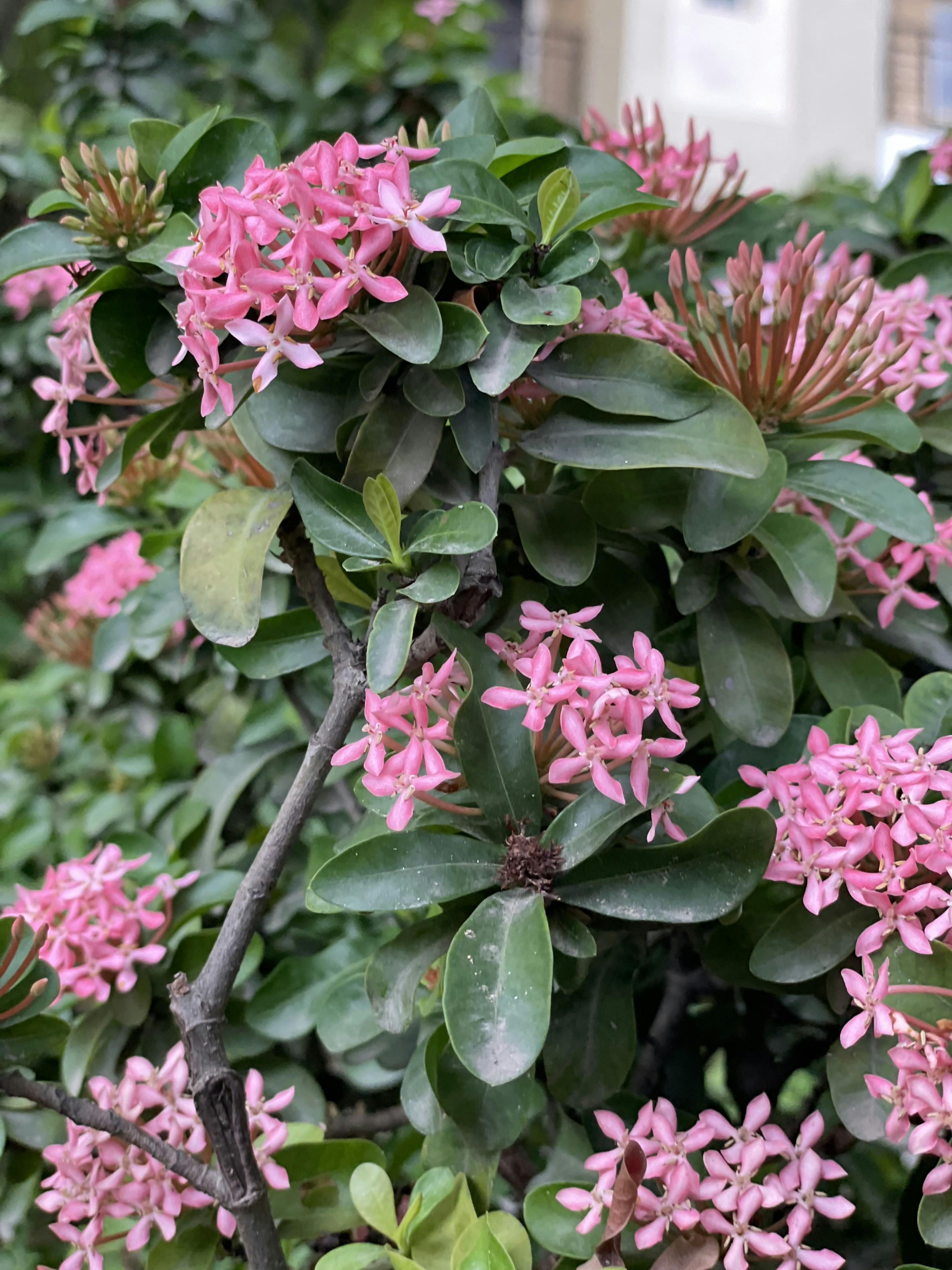 Photo by vikashsparxit