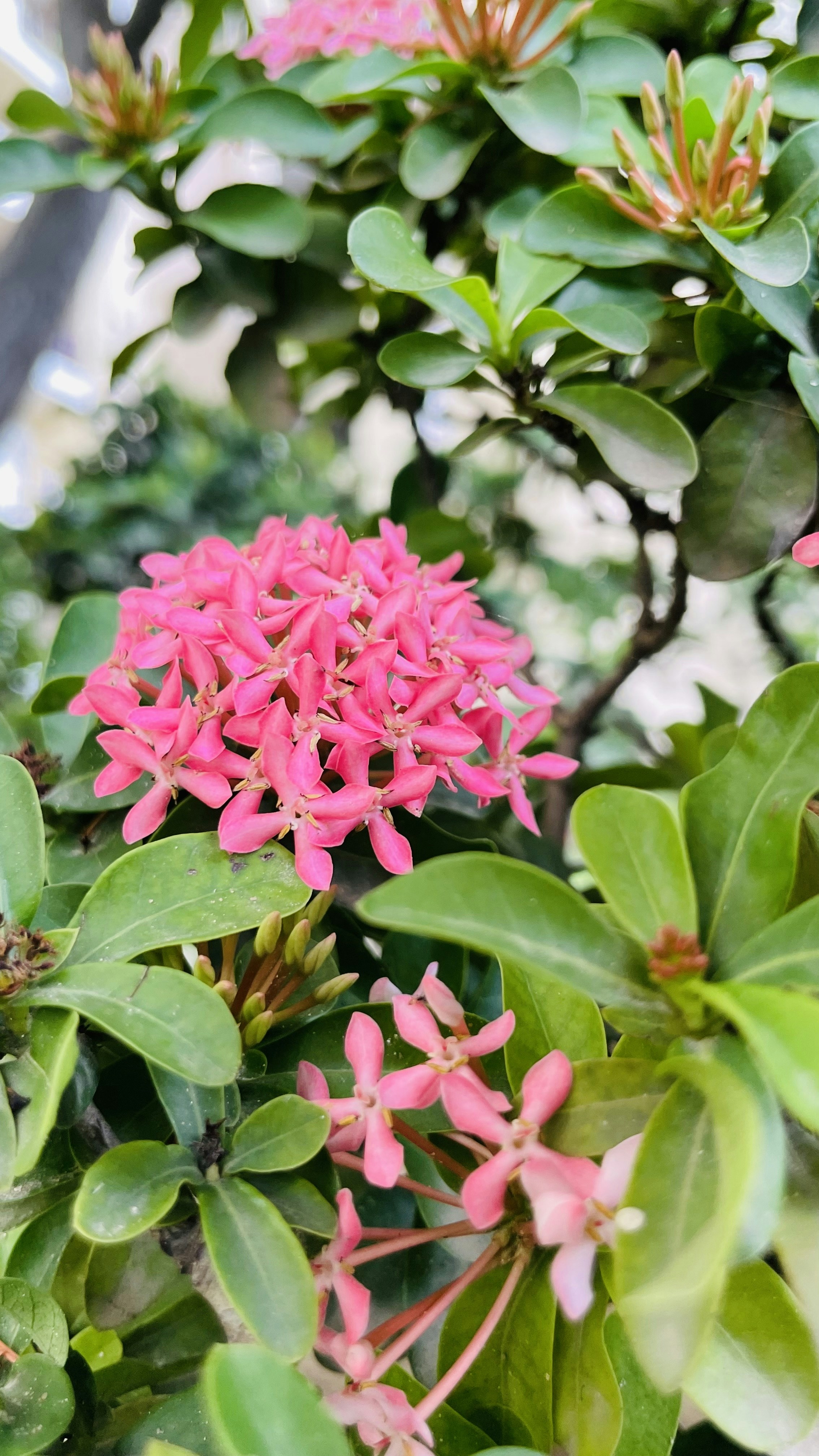 Photo by vikashsparxit