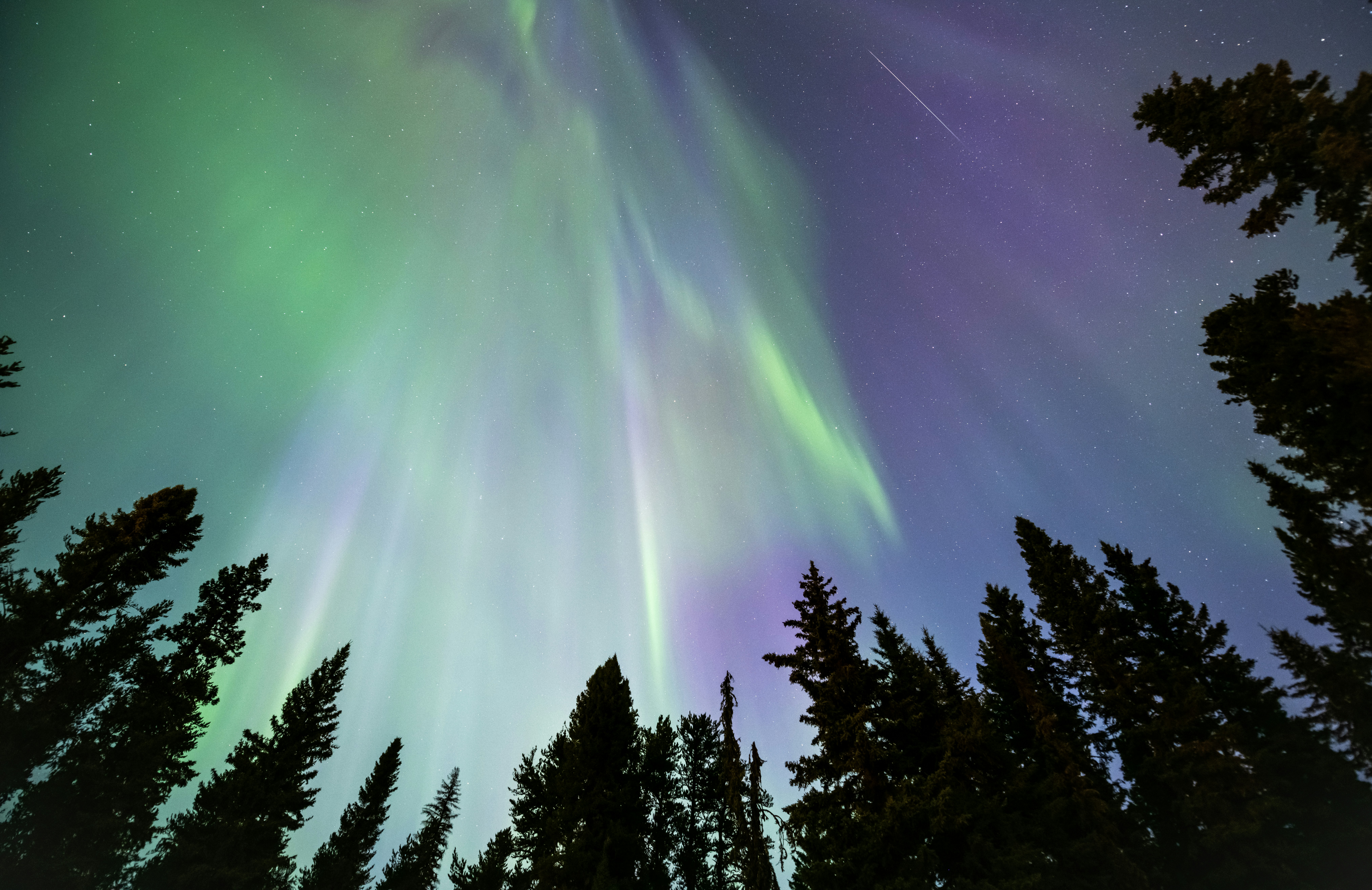 Photo by tornadogreg