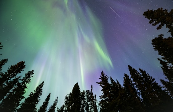 a green and purple aurora bore in the night sky