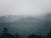 Knuckles Range