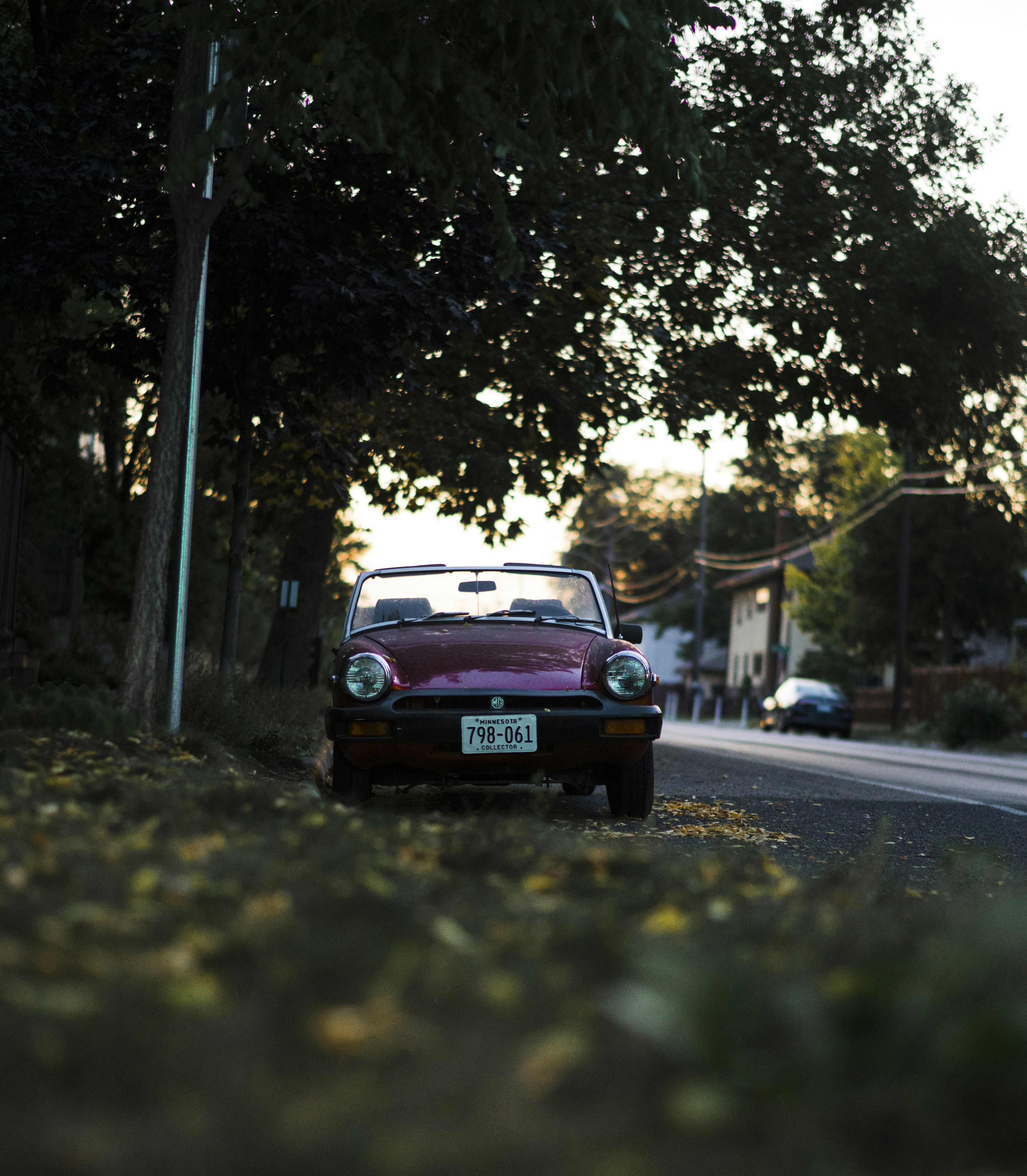 Photo by pinjasaur