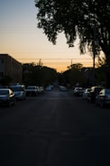 Sunset view over a quiet street lined with young trees and street lamps in Om Swapna City.