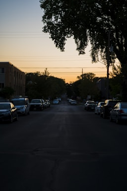 Sunset view over a quiet neighborhood street lined with trees.
