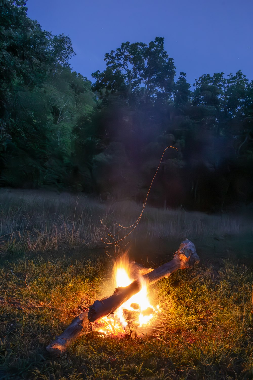 a campfire in the middle of a grassy field