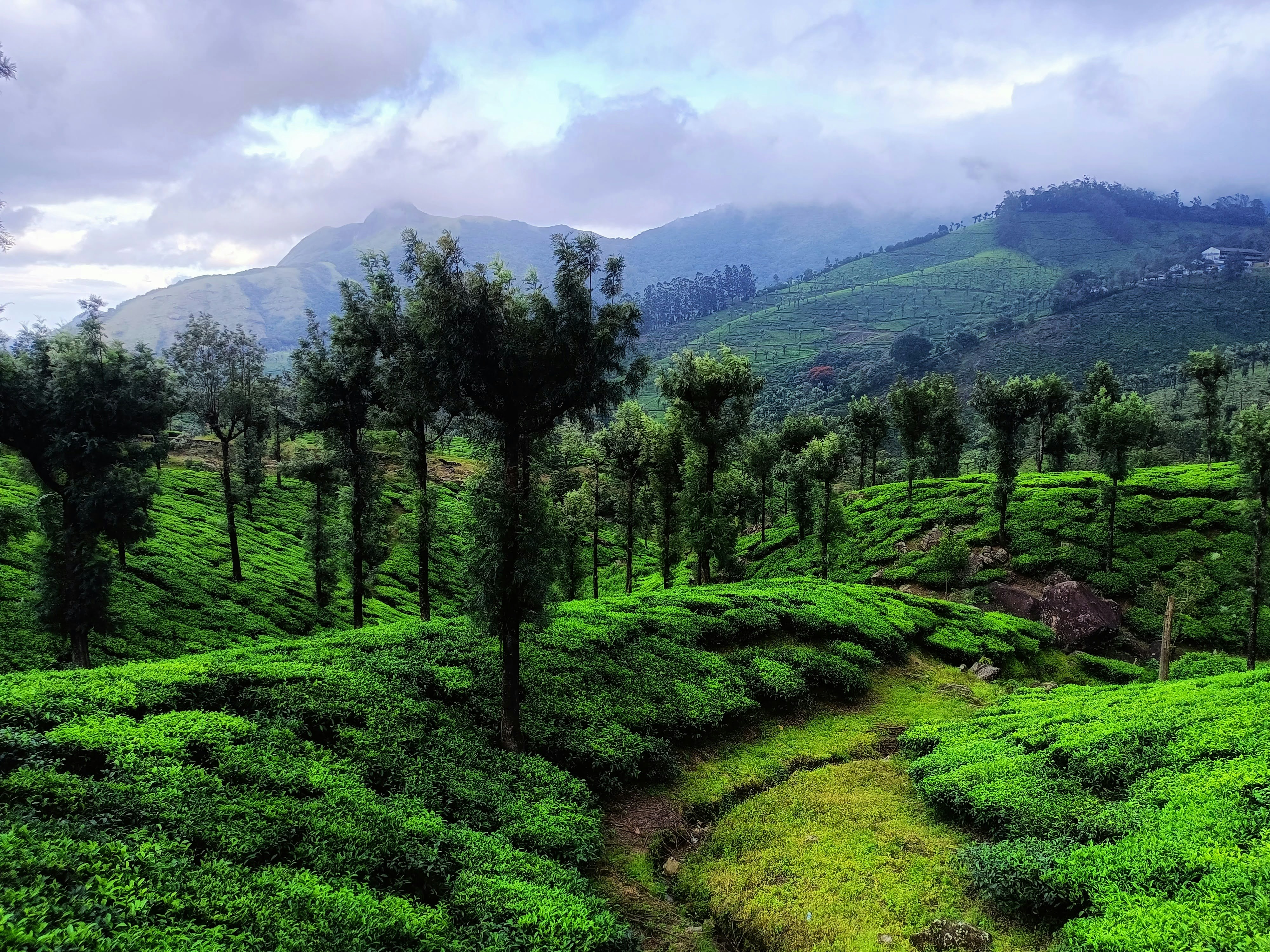 Photo by anjana_raghunandanan