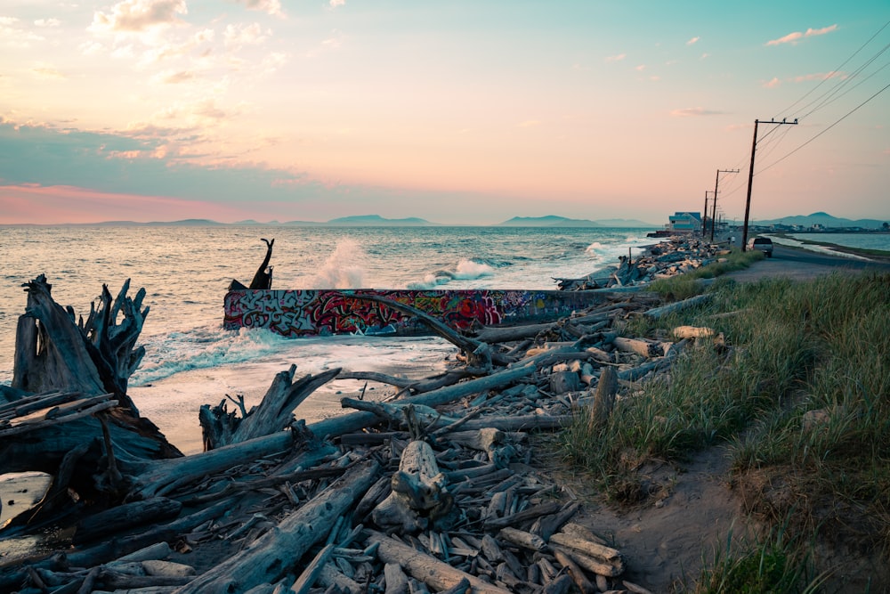 a beach that has a bunch of driftwood on it