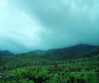 a view of a lush green valley with mountains in the background