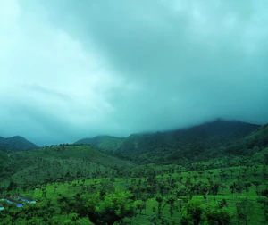 Valparai