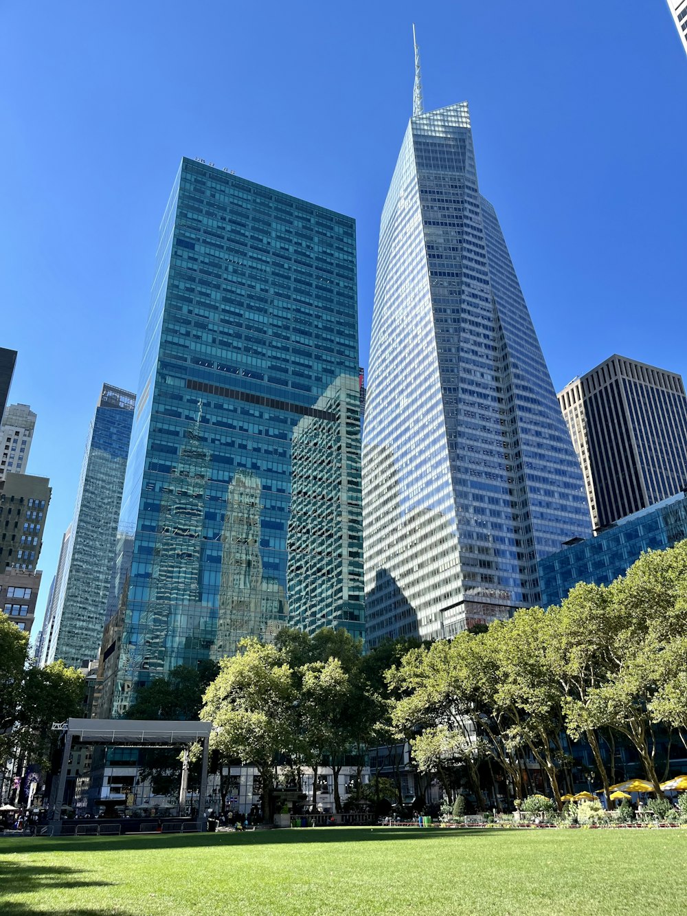 a grassy area in a city park with skyscrapers in the background