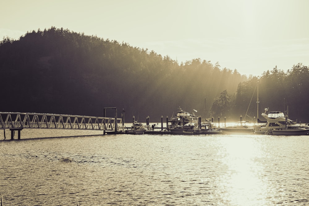 a pier with boats on a lake with a forest in the background