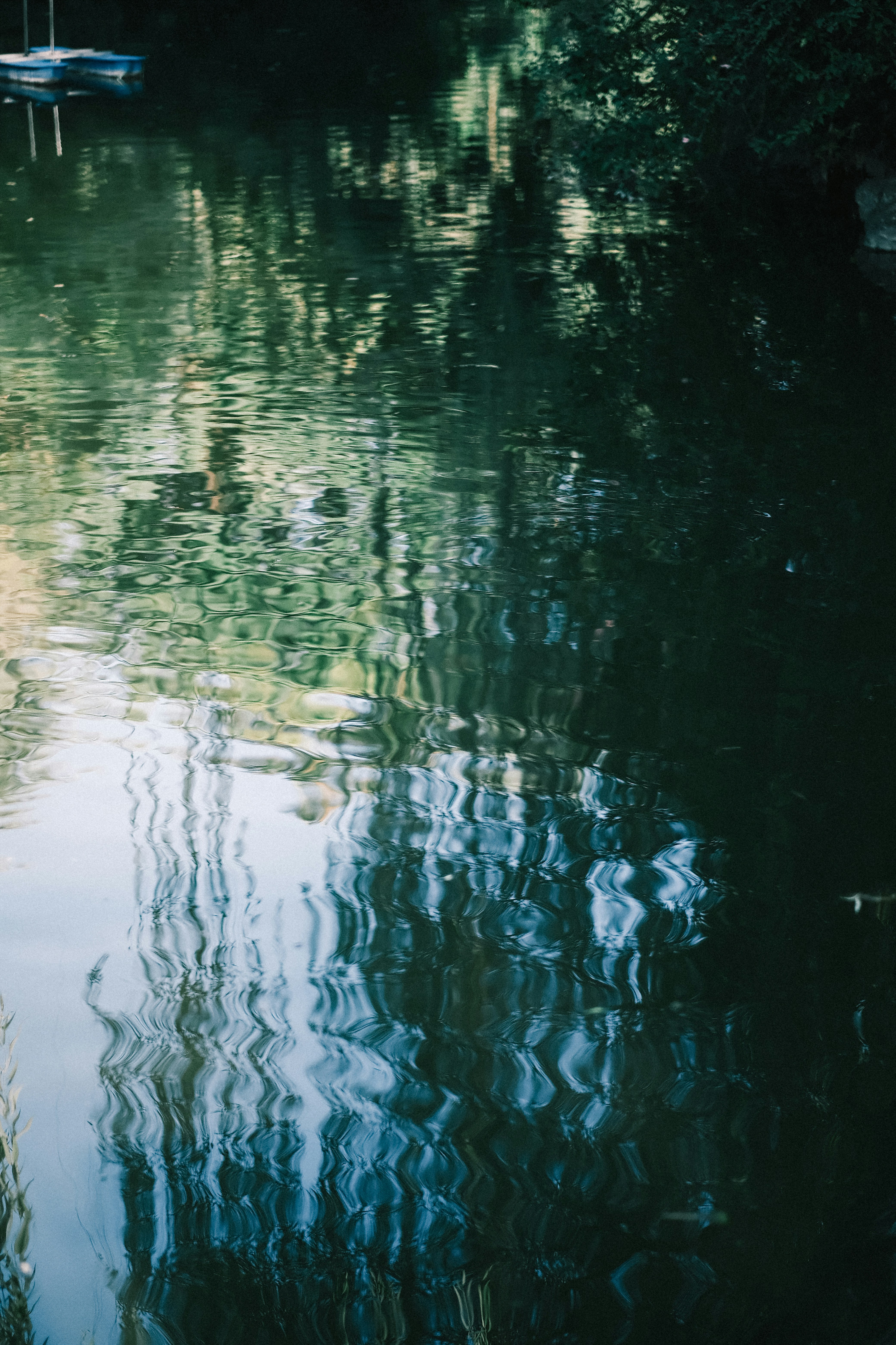 Photo by maycloudbackup