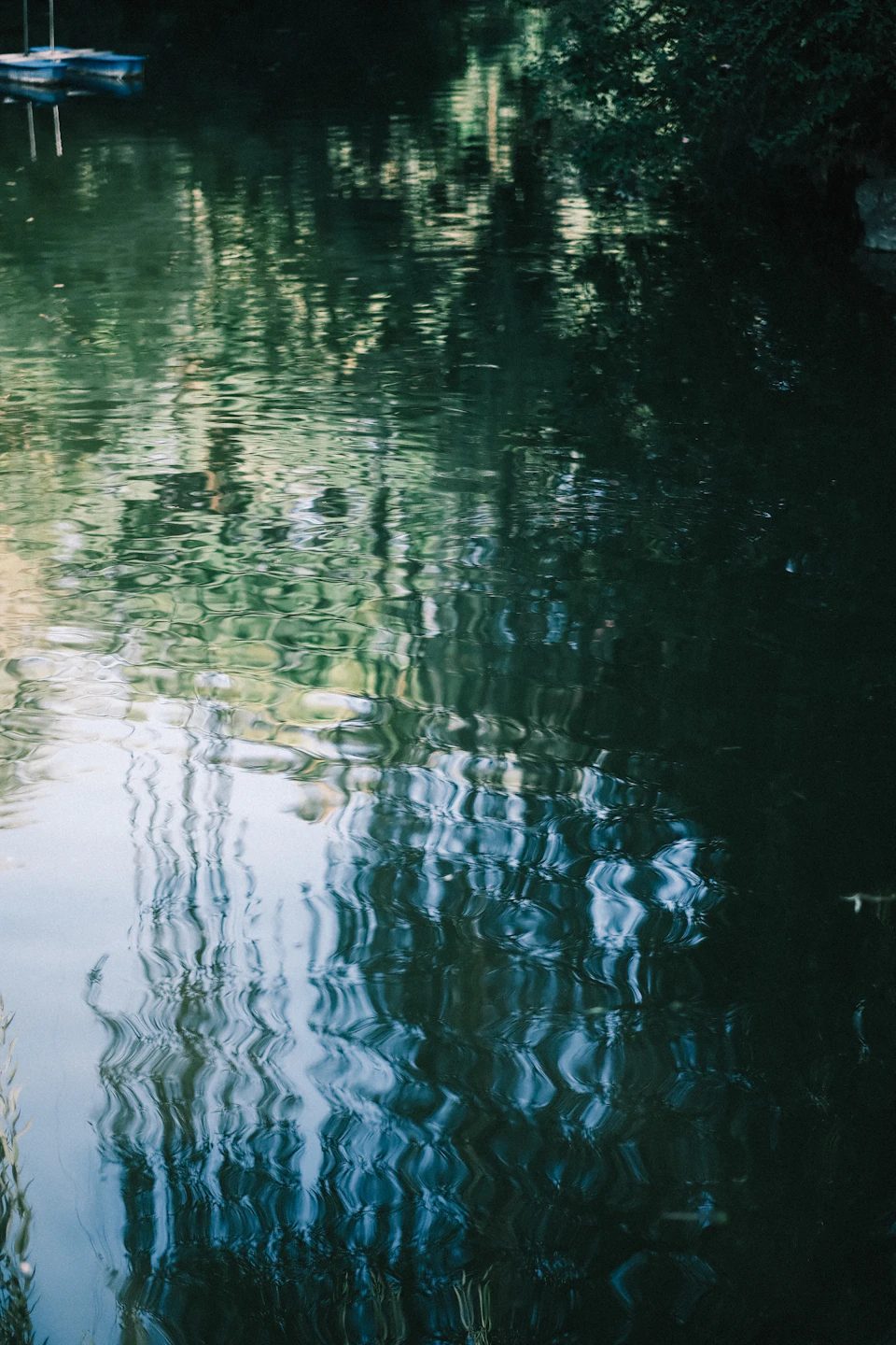 River waters reflect surrounding trees and sky from an aerial perspective