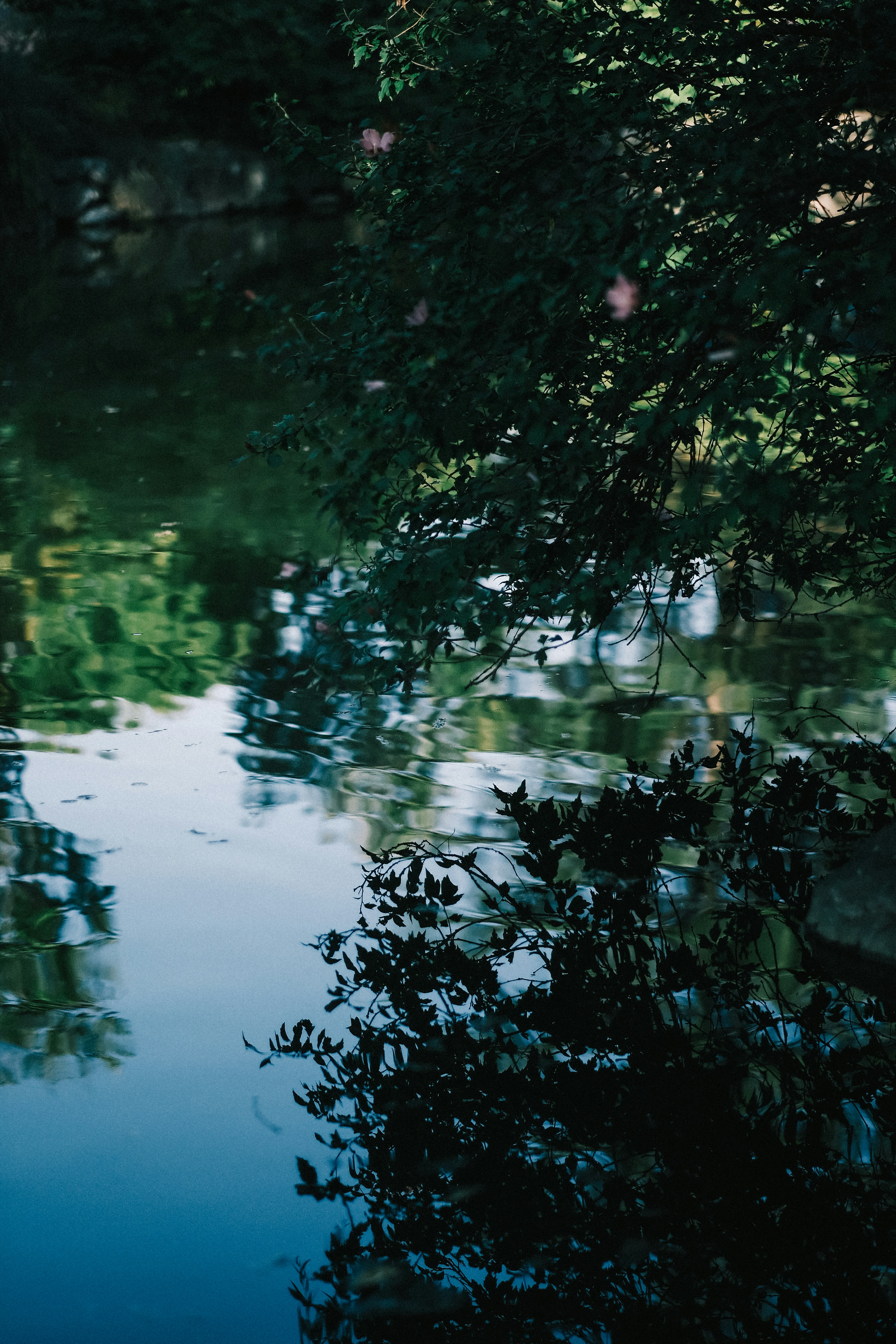 Photo by maycloudbackup