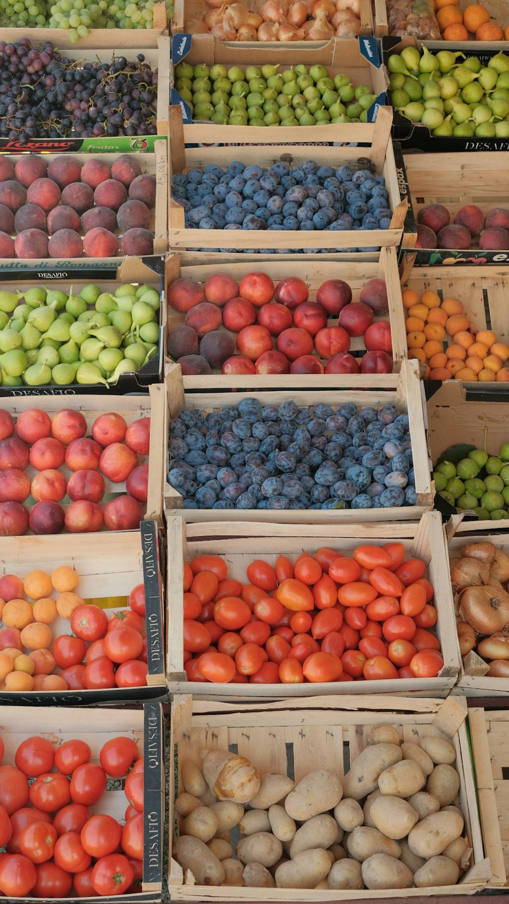 a bunch of boxes filled with different types of fruit