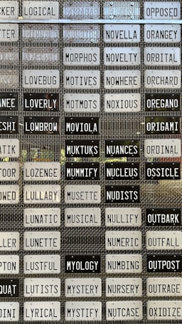 A collection of vintage license plates arranged in a grid, each displaying a different word. The plates are in two colors, black and white, and they feature a variety of words such as 'LOGICAL', 'NOVELTY', 'MUSICAL', and 'OUTPOST'. Each plate is bolted onto a metal mesh background.