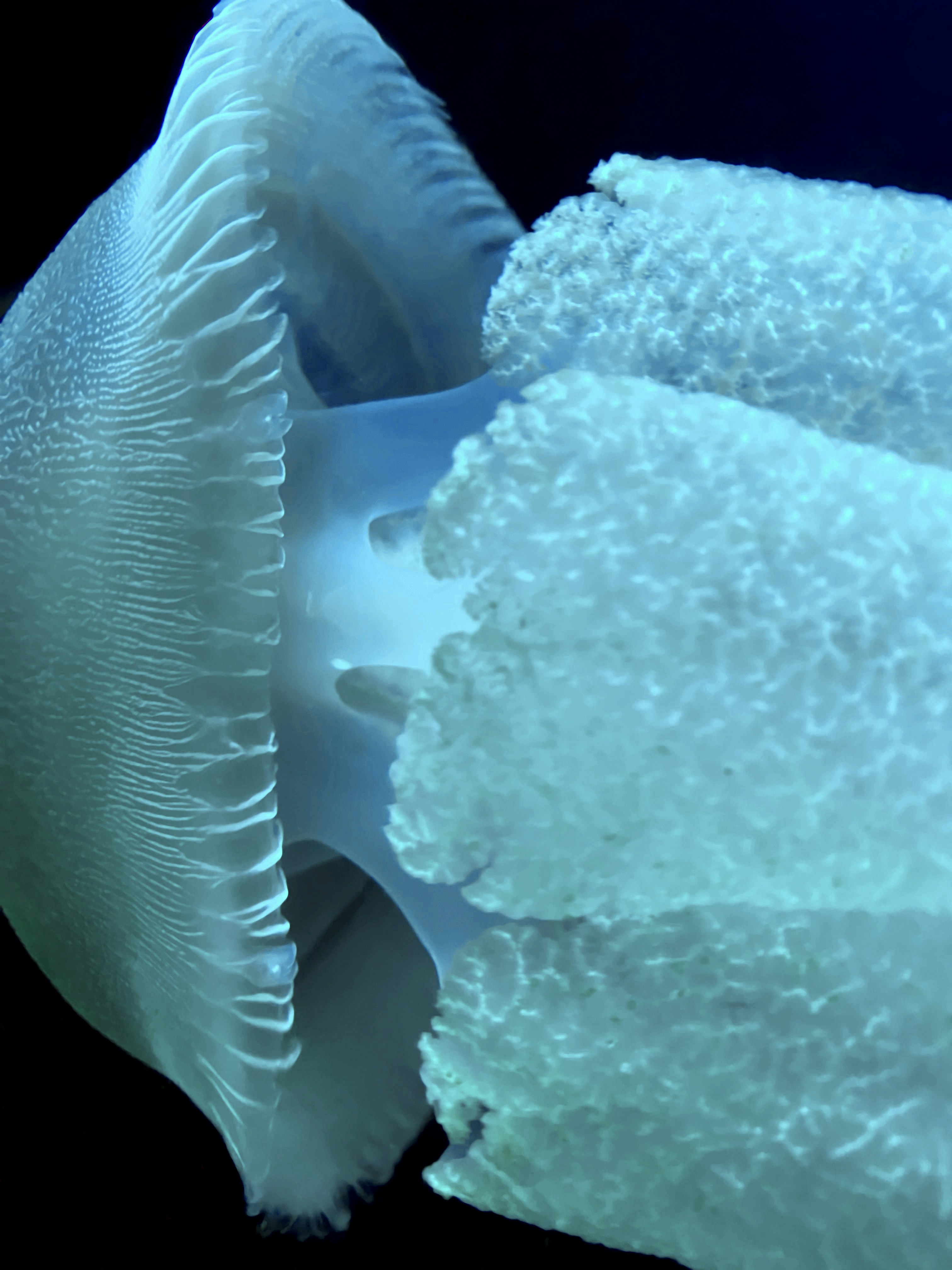 Photo by printandproper