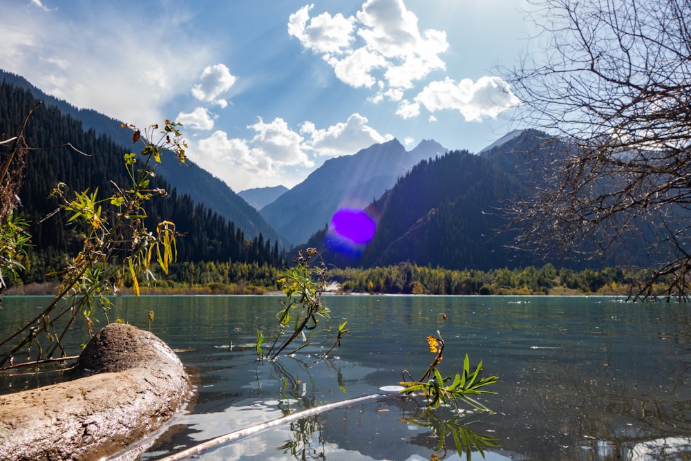 a body of water surrounded by mountains and trees