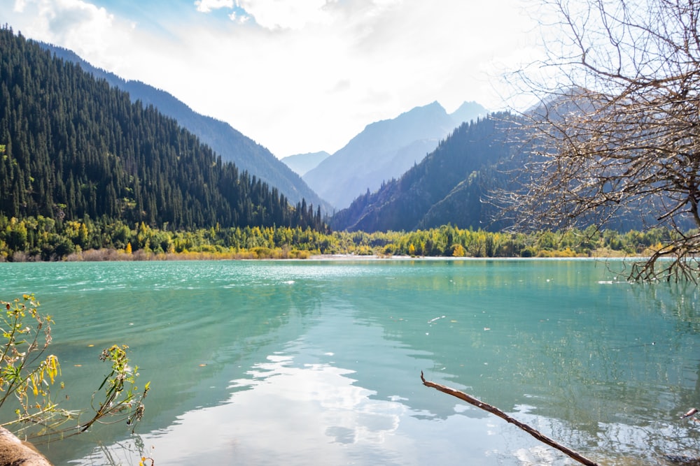 a body of water surrounded by mountains and trees