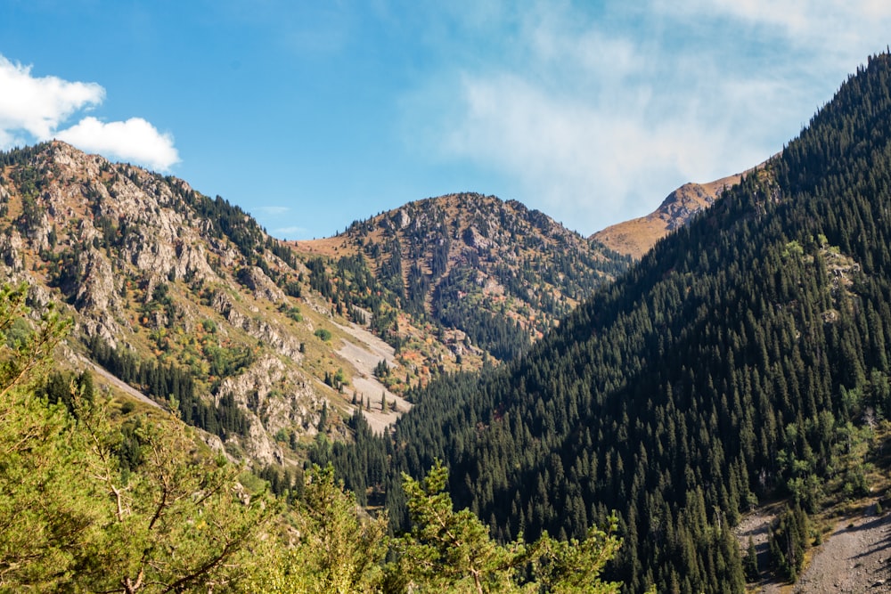 a view of a mountain range with trees in the foreground