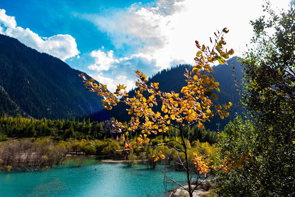 a lake surrounded by mountains and trees